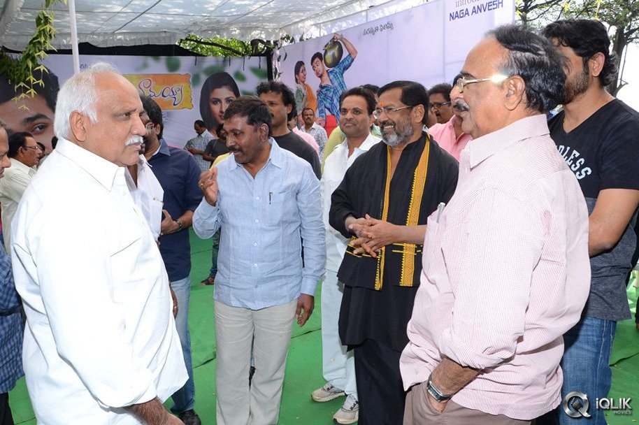 Vinavayya-Ramayya-Movie-Launch